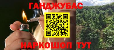 прущие крисы Абакан
