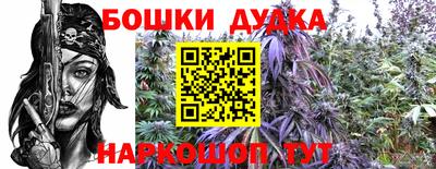 прущие крисы Абакан