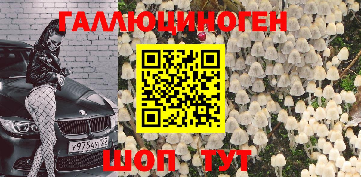 Псилоцибиновые грибы Cubensis Александров